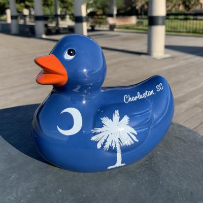 Meet Charleston Duck!